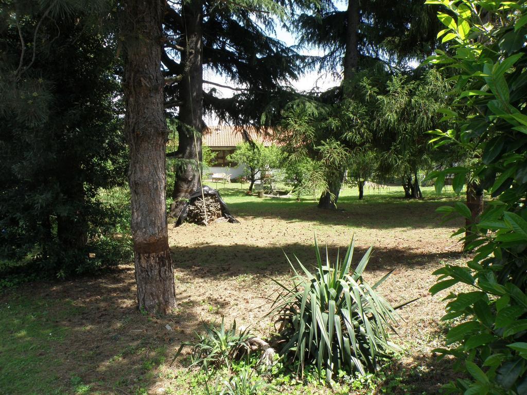 B&B Villa Mirella Casnate Con Bernate Bagian luar foto