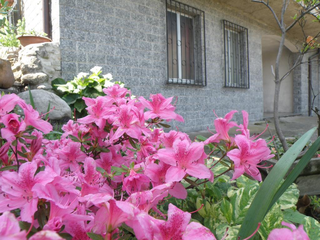 B&B Villa Mirella Casnate Con Bernate Bagian luar foto