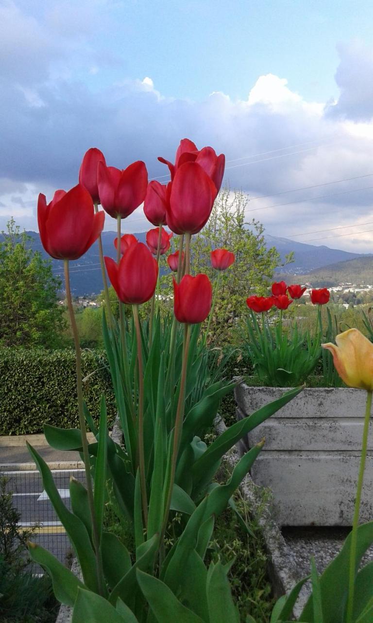 B&B Villa Mirella Casnate Con Bernate Bagian luar foto