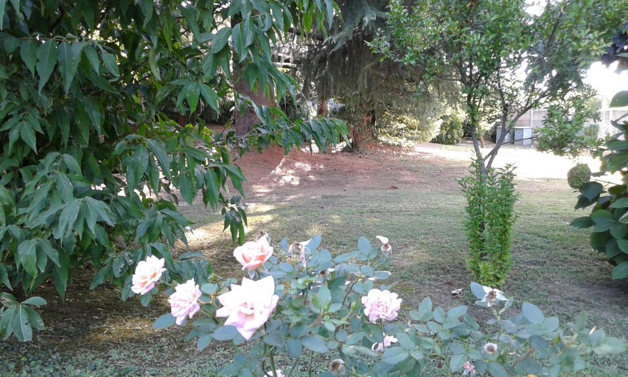 B&B Villa Mirella Casnate Con Bernate Bagian luar foto